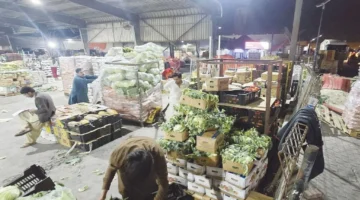 انسيابية إمدادات الخضراوات والفواكه عبر جسر الملك فهد تعيد التوازن للسوق المركزي